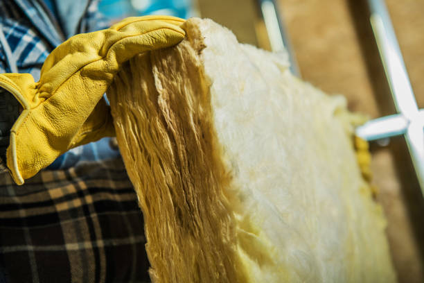 Best Insulation Contractor Near Me  in Bernalillo, NM